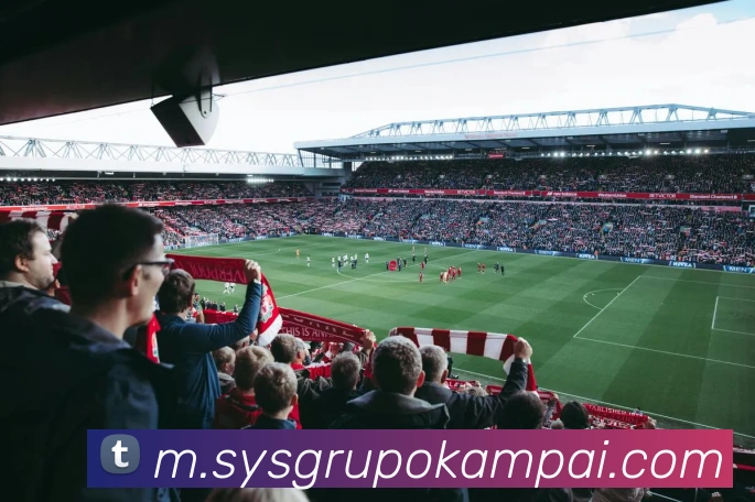 mksports登录入口平台生态图